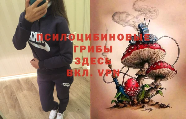 прущий лед Арсеньев