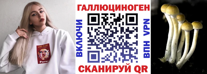 Псилоцибиновые грибы прущие грибы  Динская 